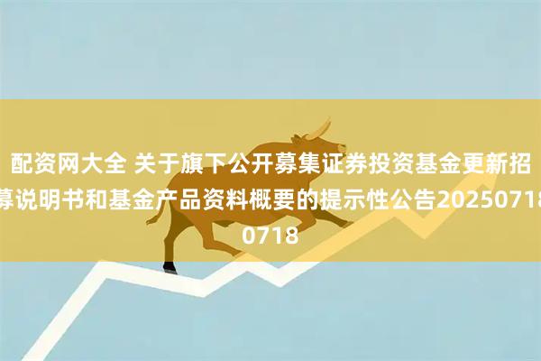 配资网大全 关于旗下公开募集证券投资基金更新招募说明书和基金产品资料概要的提示性公告20250718